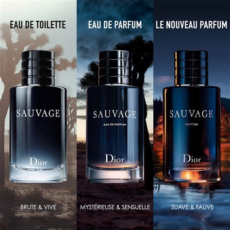 sauvage de dior|fragrances like dior sauvage.